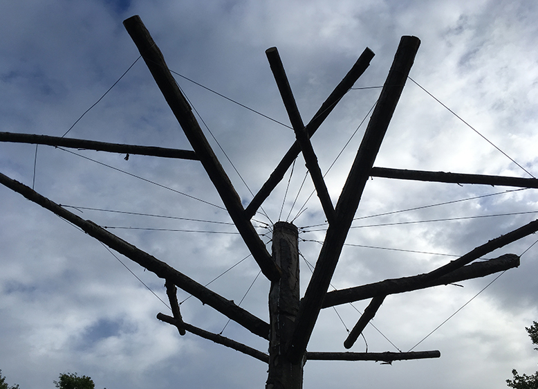 CRÉATION DE L&rsquo;ARBRE AUX COURGES